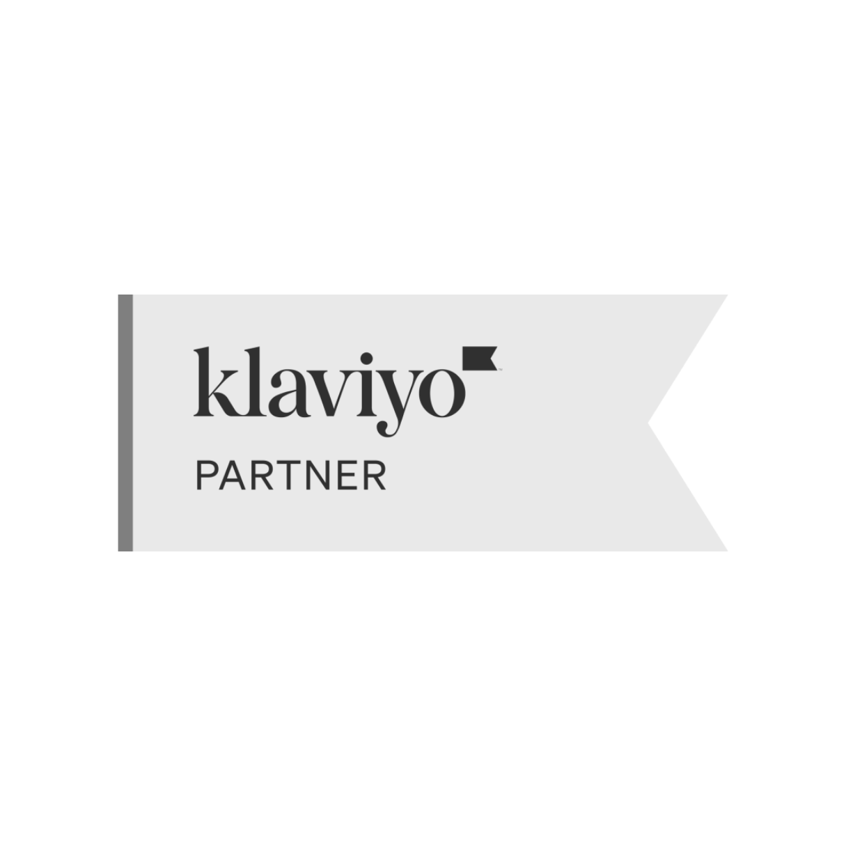 Klaviyo Partner