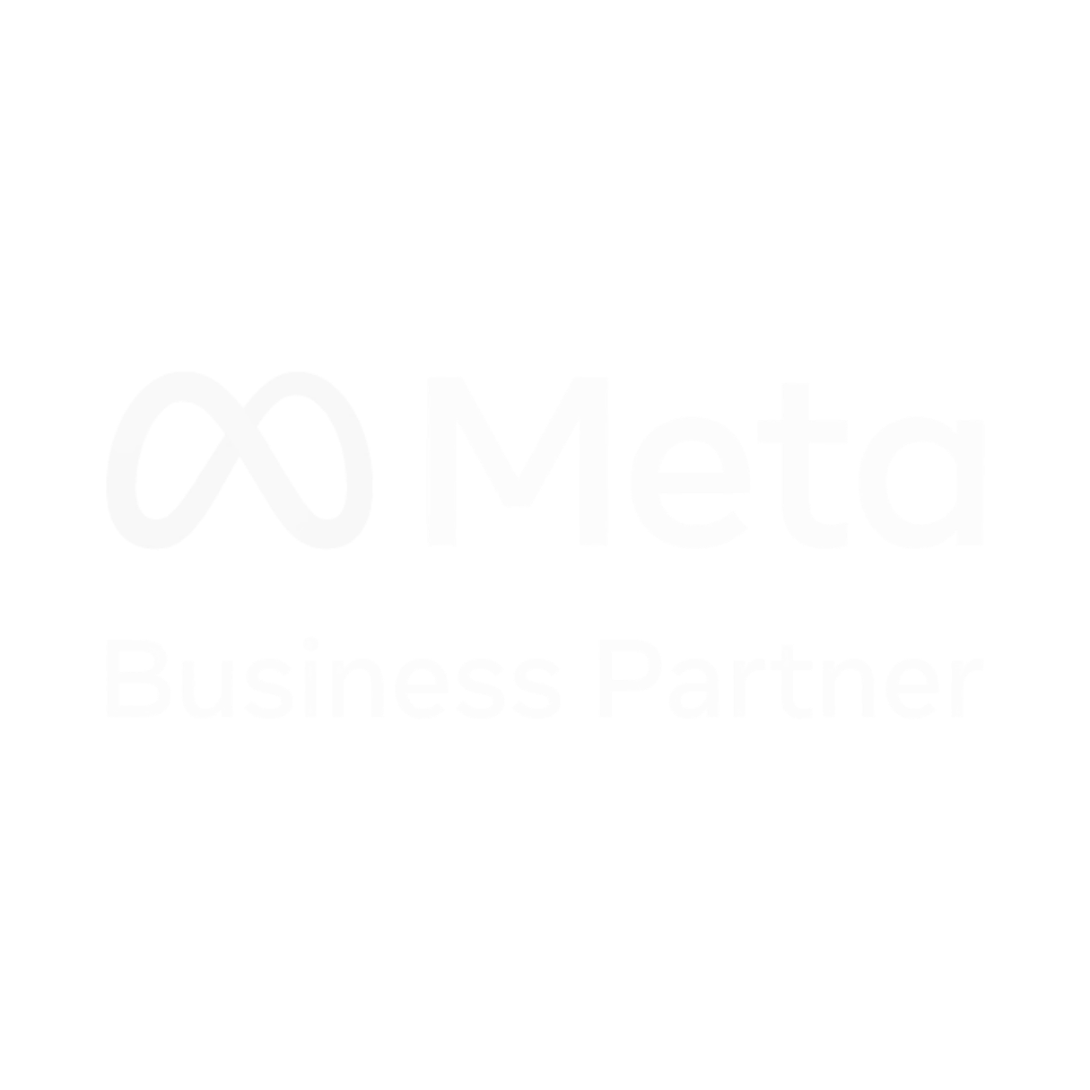Meta Business Partner