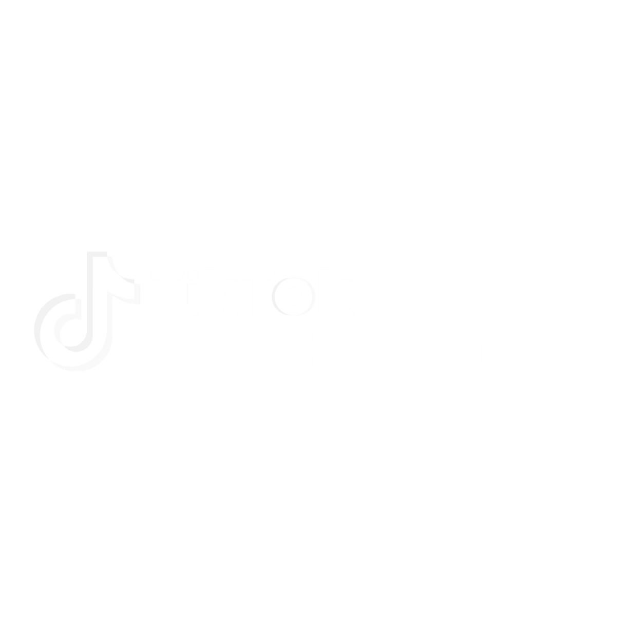 TikTok Marketing Partner